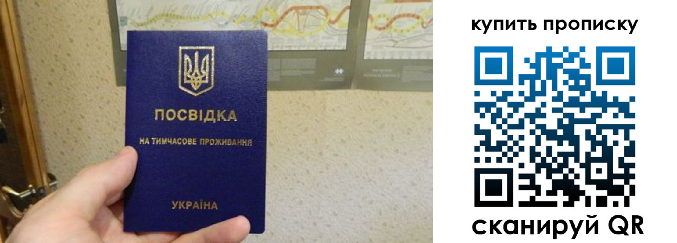 временная регистрация поиск в Ясном